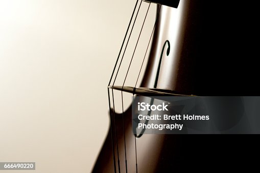 istock Cello strings 666490220