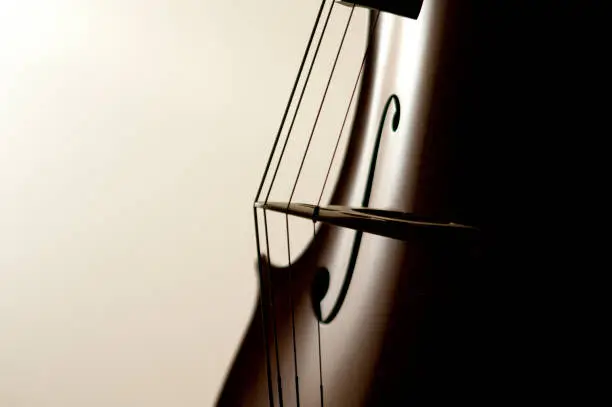 Close up of a cello and its strings