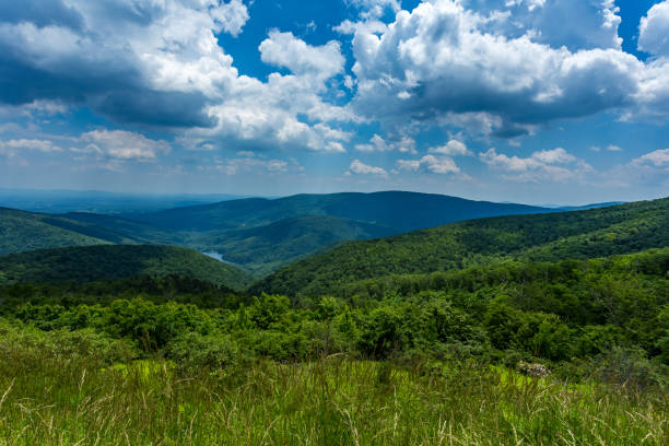 istock Shenandoah National Park 666503070