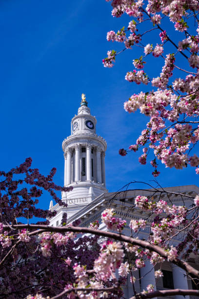 istock Denver City and County Building in Spring 666507160