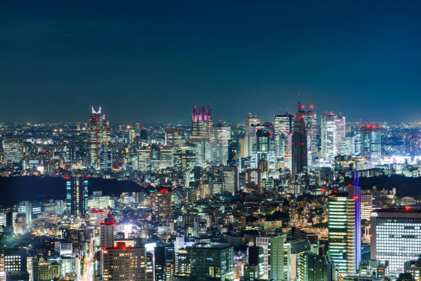 istock Tokyo, Japan skyline with the Tokyo Tower 666507276