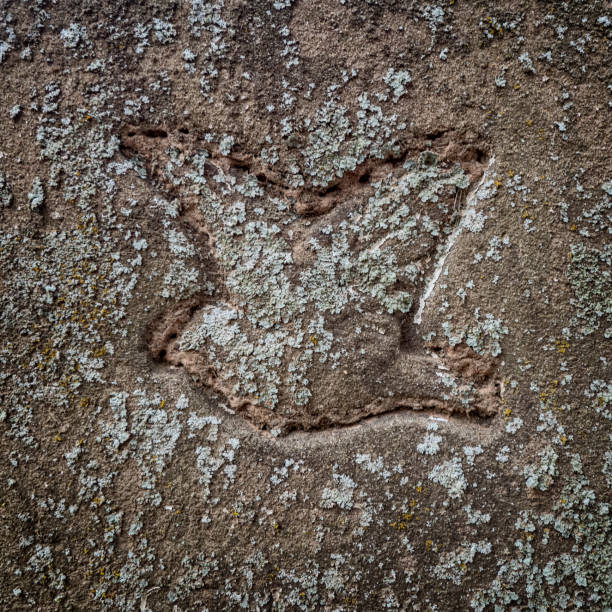 istock Bird carved into a very old grave marke 666507634