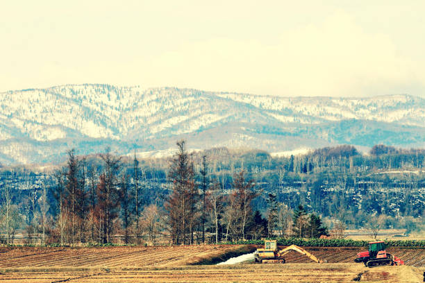 Snow melting rice field Snow melting rice field 丘 stock pictures, royalty-free photos & images