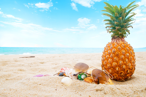 Ripe pineapples and sunglasses, seashell on the sandy tropical beach with clear blue sky. Leisure in summer and Summer vacation concept. vintage color tone.