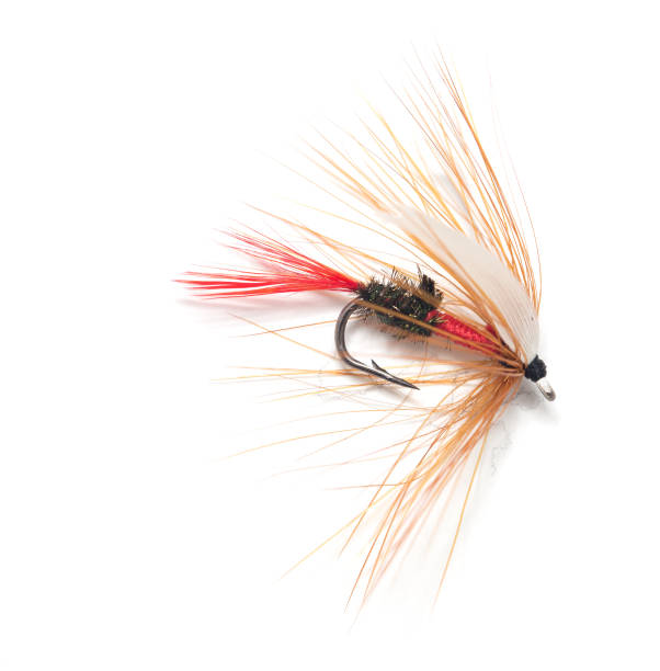 istock fly for fishing on white background 666513130