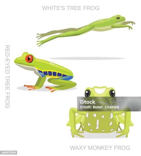 Redeyed Tree Frog Set Cartoon Vector Illustration Stock Illustration - Download Image Now - Frog, Vector, Whites Tree Frog