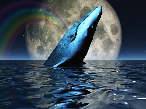 istock Whale on oceans surface with full moon 666516798