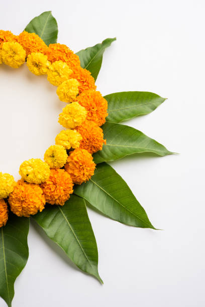 istock flower rangoli made using marigold or zendu flowers and mango leaves over black background with copy space in the middle, selective focus 666520416