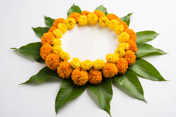 istock flower rangoli made using marigold or zendu flowers and mango leaves over black background with copy space in the middle, selective focus 666520594