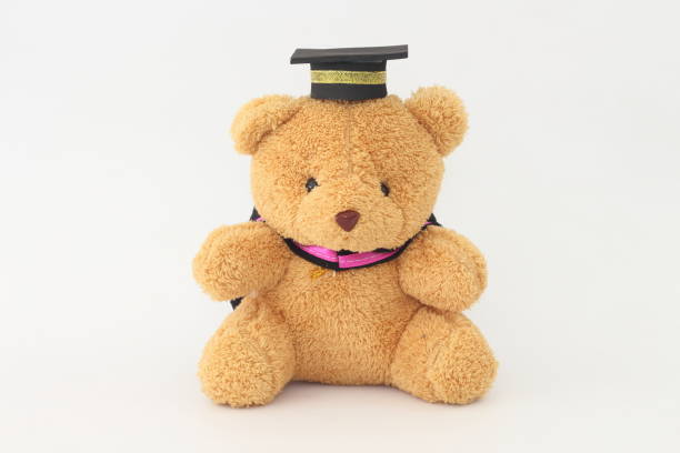 istock Brown bear wearing a graduation cap on a white background. 666520766