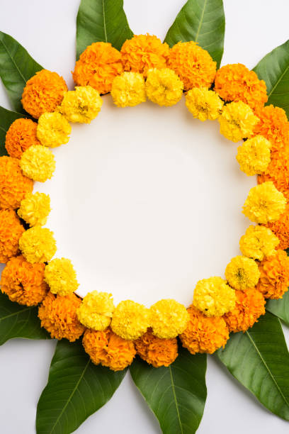 istock flower rangoli made using marigold or zendu flowers and mango leaves over black background with copy space in the middle, selective focus 666520774