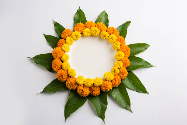istock flower rangoli made using marigold or zendu flowers and mango leaves over black background with copy space in the middle, selective focus 666521000