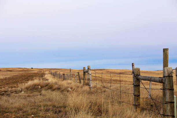 istock Line of pasture fence 666521034