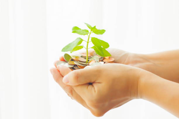 istock Money and branch is being hold in hands 666521106