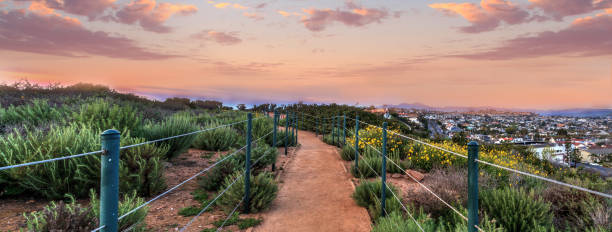 istock Hiking trail above Dana Point city view at sunset 666533126
