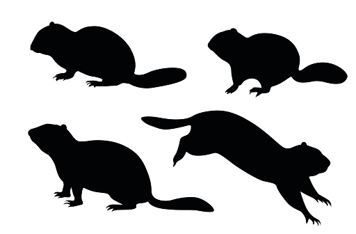 A vector silhouette illustration of a ground squirel.