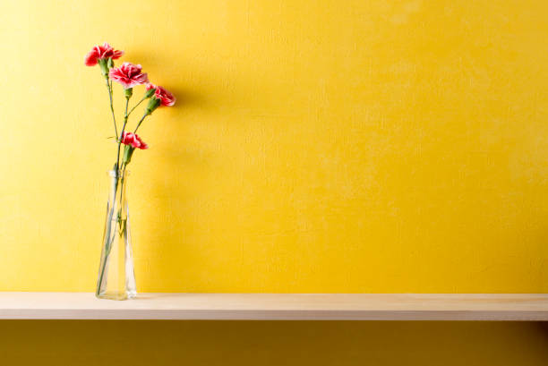 istock a room with yellow walls and shelves 666536402