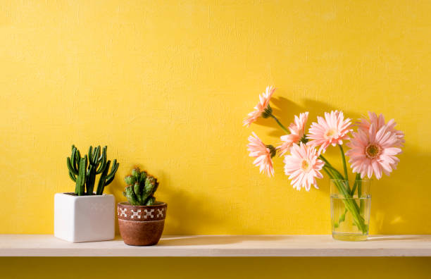 istock a room with yellow walls and shelves 666536524