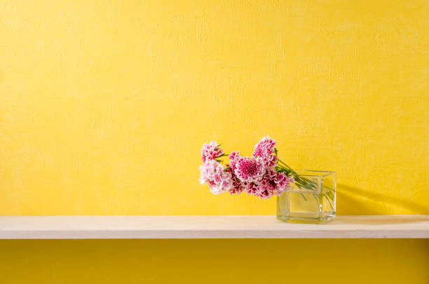 istock a room with yellow walls and shelves 666539480