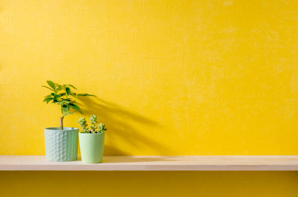 a room with yellow walls and shelves