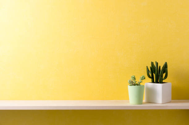 istock a room with yellow walls and shelves 666540282
