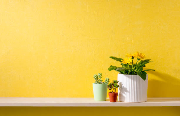istock a room with yellow walls and shelves 666540384