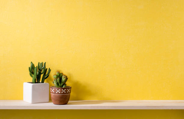 istock a room with yellow walls and shelves 666542708