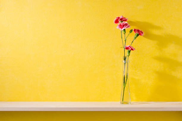 istock a room with yellow walls and shelves 666542944
