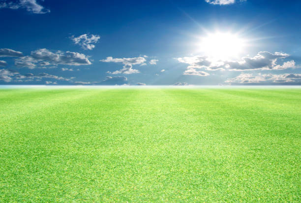 istock Image of green grass field and bright blue sky 666545088