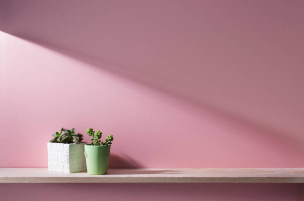 istock a room with pink walls and shelves 666545482