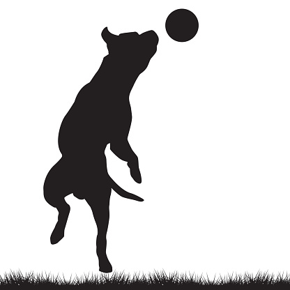 Dog silhouette playing with ball