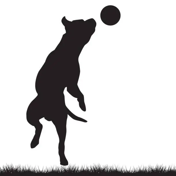Vector illustration of Dog playing with ball