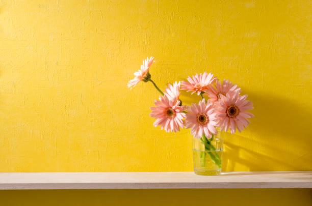 istock a room with yellow walls and shelves 666546148