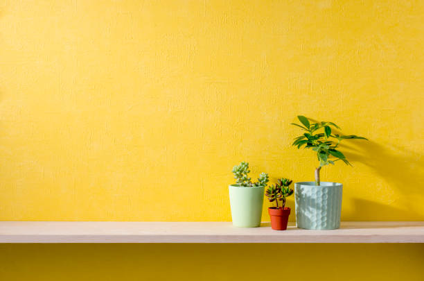 istock a room with yellow walls and shelves 666546214