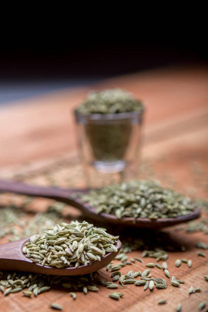 fennel seeds Fennel or fennel seeds are highly aromatic and flavorful herb with culinary and medicinal uses . It is used as a spice and possesses a sweet taste that is similar to anise. absinthe spoon stock pictures, royalty-free photos & images