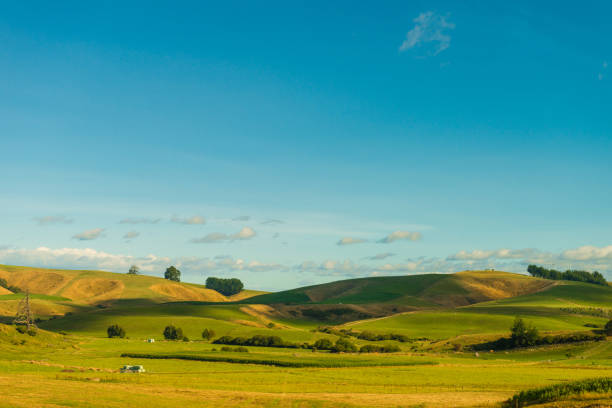New Zealand Landscape Highway