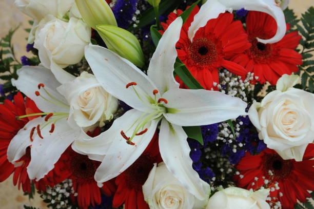 istock Festive bouquet - Spain 666559386