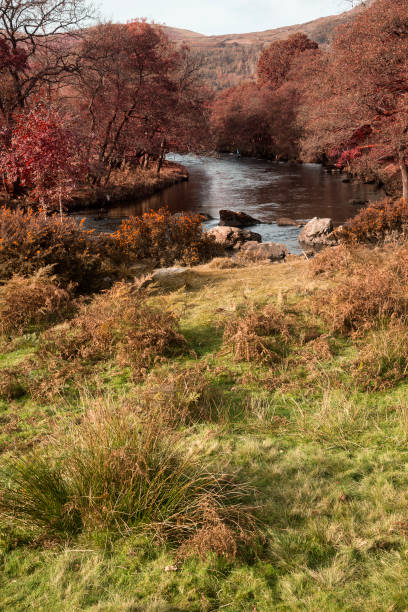 istock Stunning landscape image of Lake District during Autumn 666559474