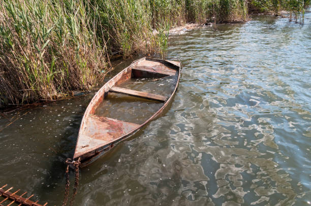 istock Old flooded boat in the reeds 666563836
