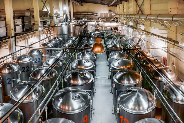 istock Beer production plant, several rows of steel tanks 666564132