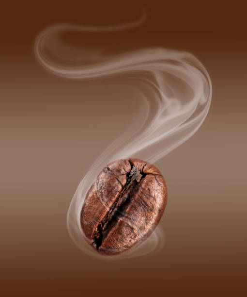 istock Coffee bean with hot steam close-up 666566920