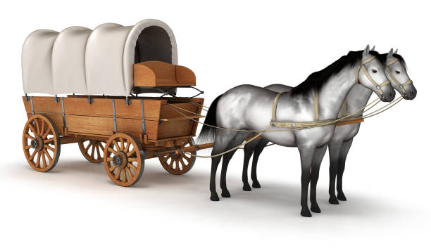 istock Horse carriage drawn by two horses 666572944