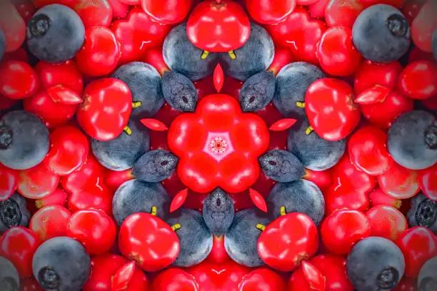 A kaleidoscopic close up view of red and black wild berries under sun light.