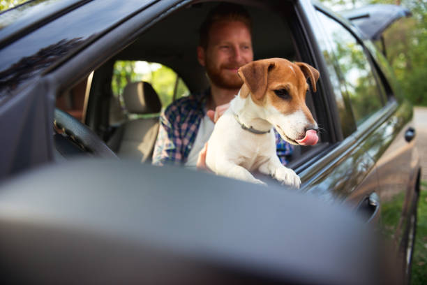 istock Enjoying a roadtrip 666582988