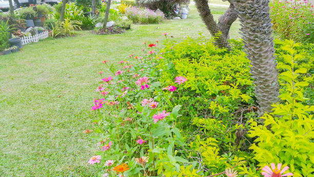 istock Beautiful garden in the morning time 666590150