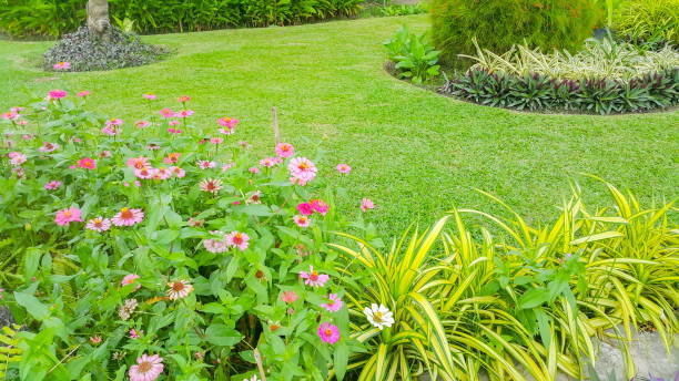 istock Beautiful garden in the morning time 666590154