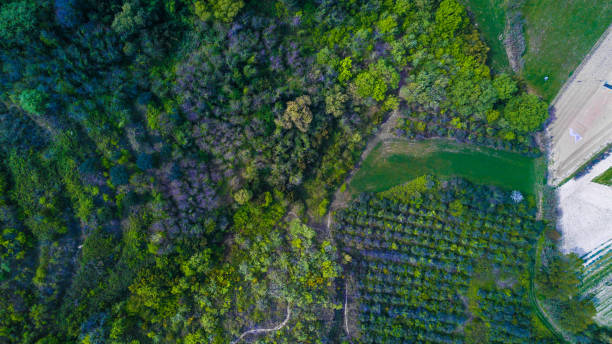 istock Italian (central Italy) country side aerial landscape 666590496