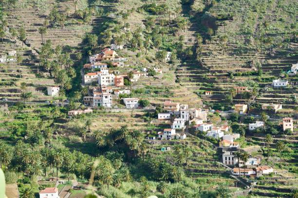 istock terraces of Valle Gran Rey 666592818