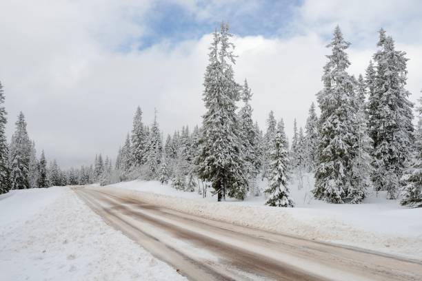 istock Road through a Winter Wonderland 666592904