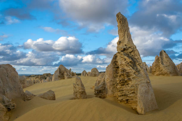 istock Stone pinnacles in Nambung National park, Western Australia 666596220